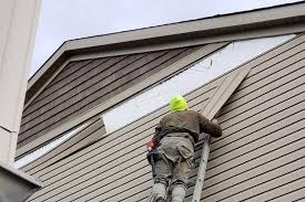 Best Siding Painting and Refinishing  in Mendon, UT